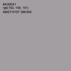 #A39EA1 - Amethyst Smoke Color Image